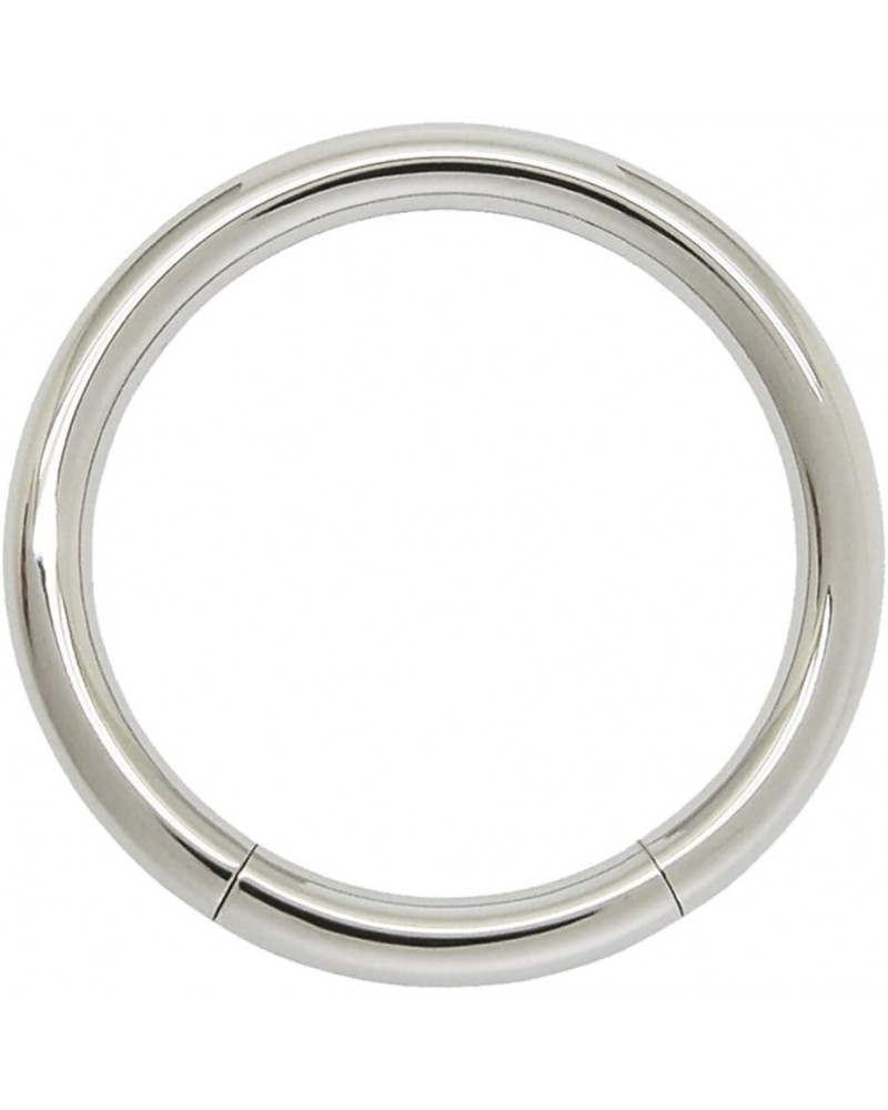 Seamless 316L Surgical Steel Segment Ring 6GA - 1/2" 12mm $8.83 Body Jewelry