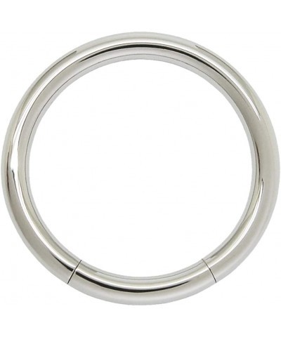 Seamless 316L Surgical Steel Segment Ring 6GA - 1/2" 12mm $8.83 Body Jewelry