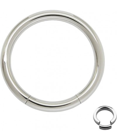 Seamless 316L Surgical Steel Segment Ring 6GA - 1/2" 12mm $8.83 Body Jewelry