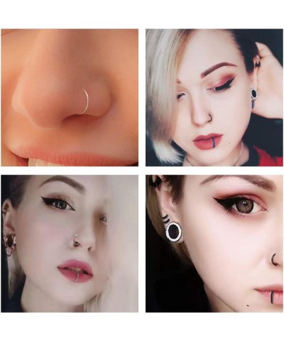 316L Stainless-Steel Hinged Nose Rings Hoop : 20G 18G 16G 14G Womens and Mens Body Pierecing Ring Segment Ring Lip Rings Nose...