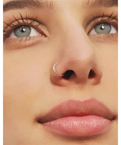 Double Nose Ring for Single Piercing Double Hoop Nose Ring for Single Piercing Double Nose Ring Hoop Double Loop Nose Ring Sp...