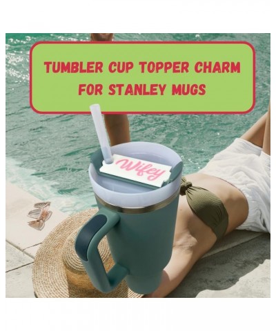 BAGLETS - Slim Topper Charms Compatible with Stanley Cups 40 & 30 oz. | Customize Tumblers with Cute Charms | Easily Removabl...