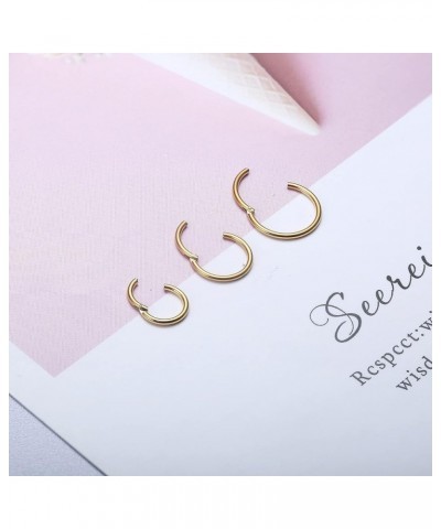 12pcs 16G Rook Piercing Jewelry Eyebrow Rings Stainless Steel Belly Lip Ring Cartilage Hoop Rook Daith Earrings Tragus CZ Bod...