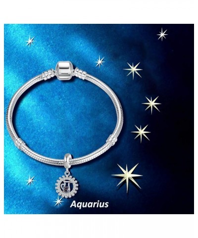 12 Zodiac Sign Birthday Dangle Charm for Pandora Bracelet Cubic Zirconia Constellation Bead Gift Aquarius $8.31 Bracelets