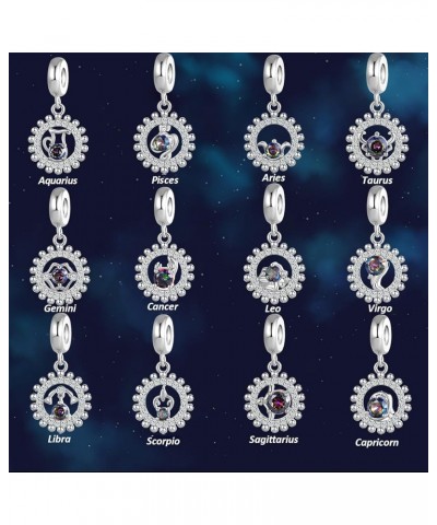 12 Zodiac Sign Birthday Dangle Charm for Pandora Bracelet Cubic Zirconia Constellation Bead Gift Aquarius $8.31 Bracelets