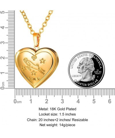 Heart Locket Necklace for Women Girls, Platinum/18K Gold Plated Classic Lockets Jewelry that Holds Pictures Constellation Sig...