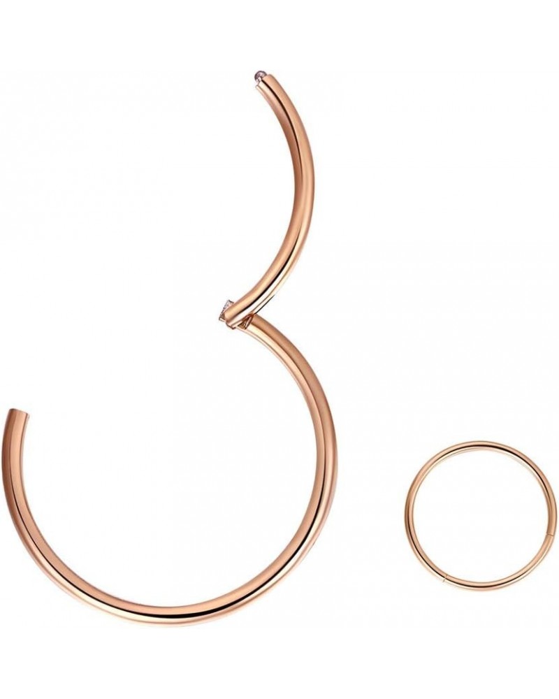 316L Surgical Steel Hinged Clicker Nose Rings Hoop 20G 18G 16G 14G Septum Rings Body Piercing Lip Rings 1pcs,Rose Gold,20g,Di...