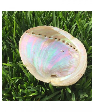 316L Stainless Steel Comfort Fit Natural White Abalone Paua Shell Inlay Hawaiian Flat Top Bangle Bracelet (Width: 6mm, 8mm, 1...